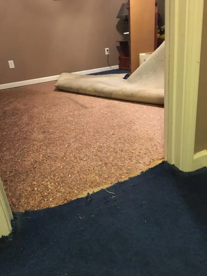 Carpet pad removal revealing water damage during Drying & Dehumidification in Walpole