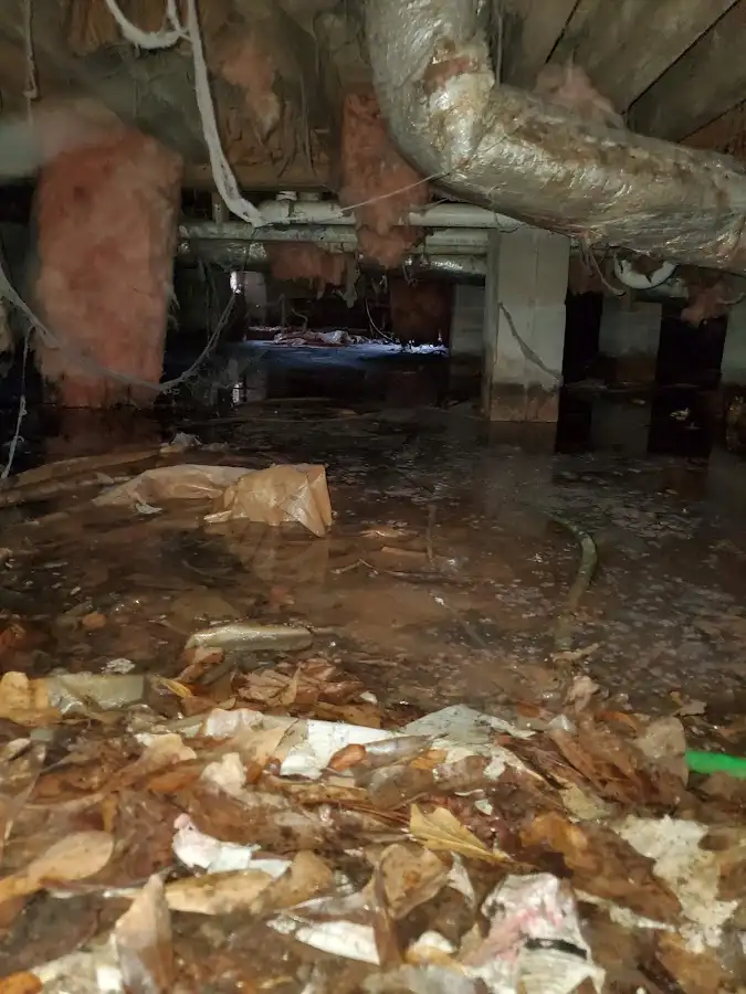 Crawl space flood assessment for Leak Detection & Repair in Walpole