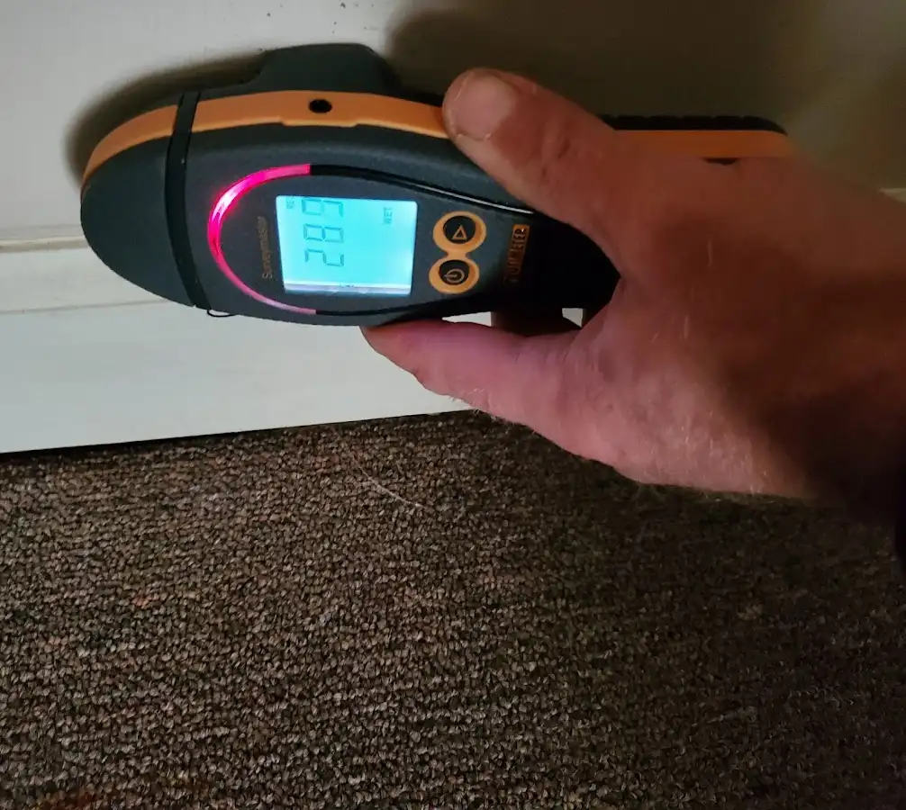 Moisture detection at baseboard during Sewage Cleanup & Sanitation in Walpole